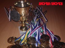 Итоги сезона 2012/2013